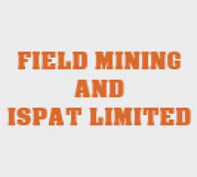 Golden Star Ventures Company